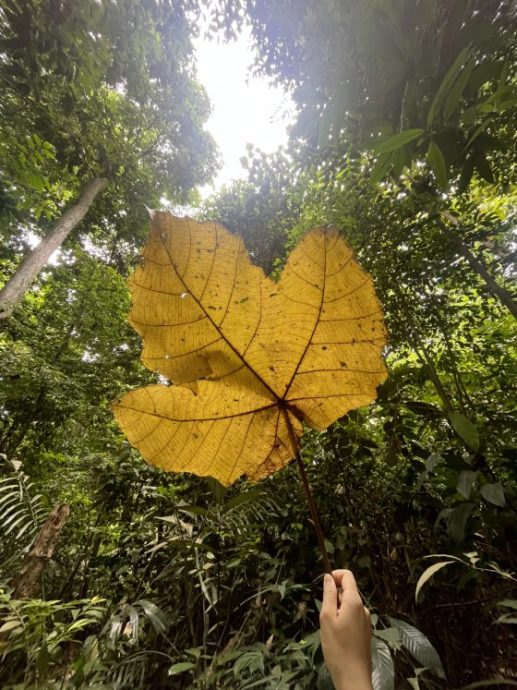 锺嘉怡/你有多久没好好呼吸了?