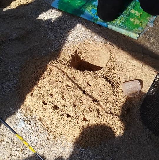 供上网(30/7见报)学海学记专题,七区共用