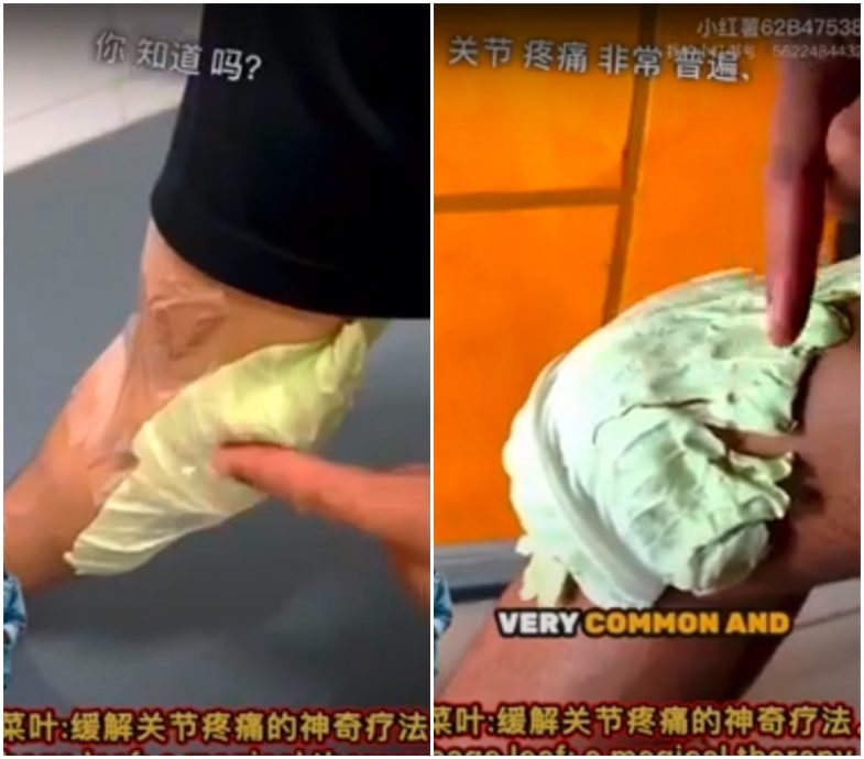 全国:求真:网传包菜叶敷关节可缓解疼痛,专家:不实说法!