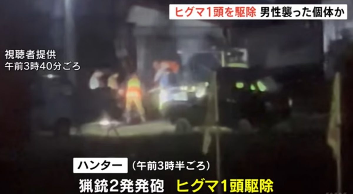 北海道凌晨猎杀一巨熊 至少2熊屡闯住宅区