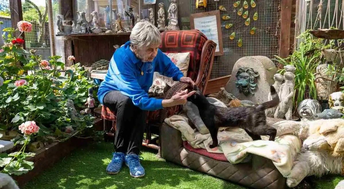 暖势力 英国九旬老妇倾其一生 拯救逾万受虐动物,退而不休