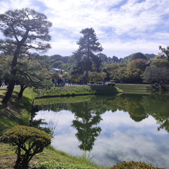 【日本】平等院:文化与自然的交融