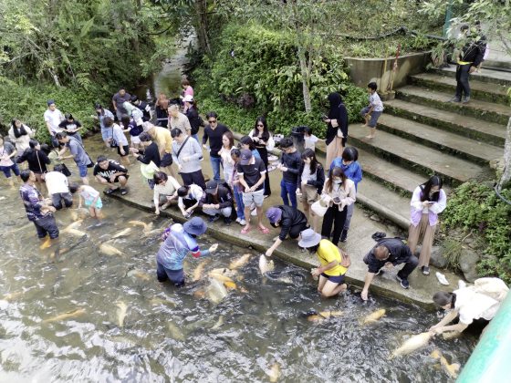【马来西亚‧沙巴】在风下之乡,来一趟温故知新的旅程