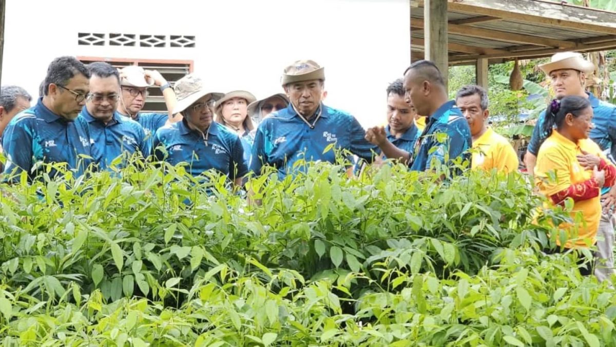全:(未签发)马来西亚铁路衔接公司在文冬永久森林保留区,成功种植了3000棵树苗,作为“铁道护根(Rail to Roots):森林退化保育与能力建设计划”的一部分