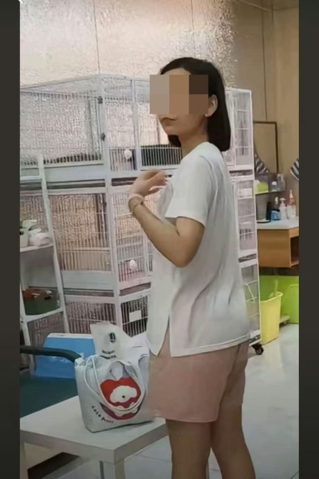 女子称心情不好包房虐猫 半小时致死4猫 店家报警追究