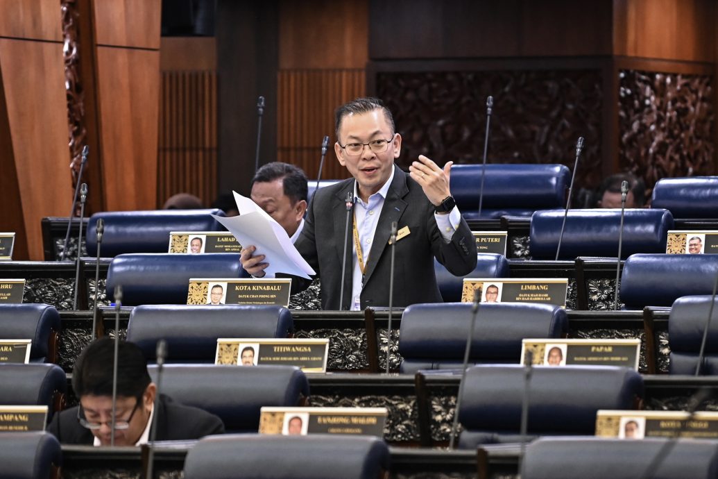 干可可豆平均价格一年141% 国际可可节销售3.55亿