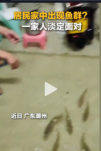 求真/网传“台湾南部淹水鱼进客厅”不实 实为广东潮州场景