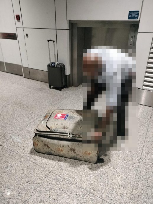 企图走私两稀有保育动物 46岁本地男子KLIA被逮