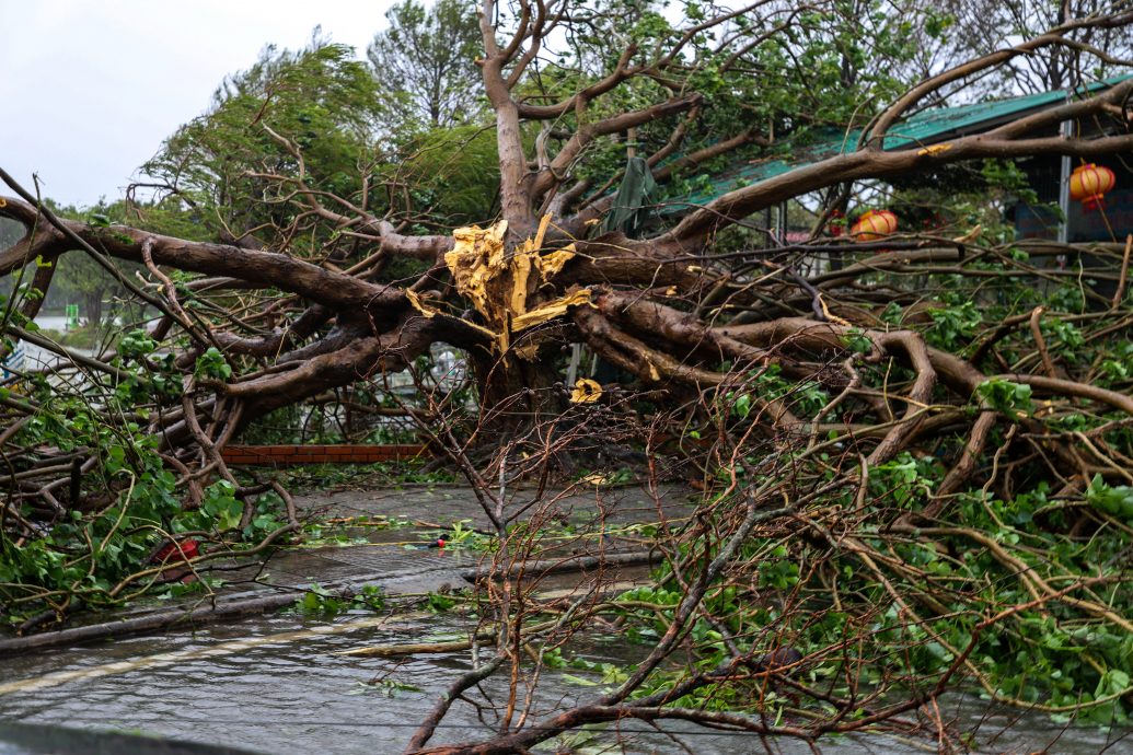 台风“博罗依”来袭 泰国多地将迎强降雨