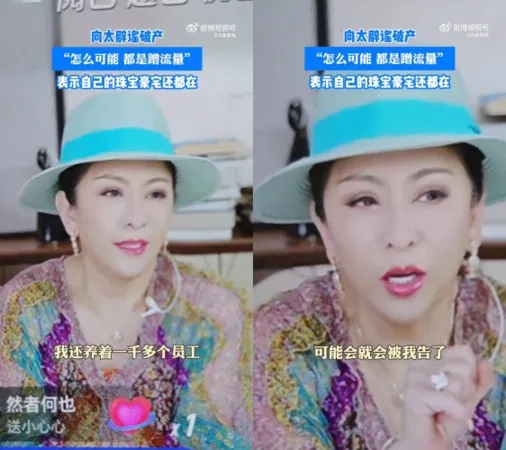 向家遭爆破产?向佐开杠:说话请有底线