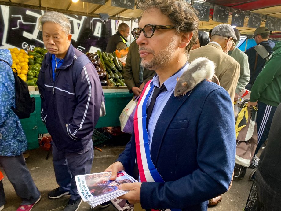 拼盘 巴黎区长为鼠类平反 打破害虫标签吁人鼠共生