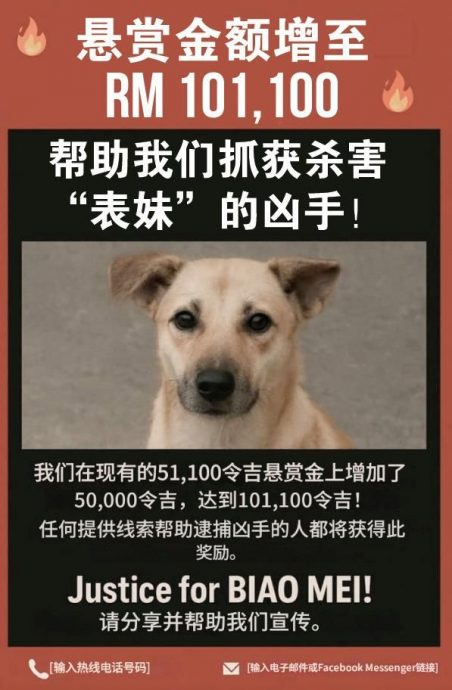 (全国版)“表妹”被剥皮事件奖赏10万1100令吉
