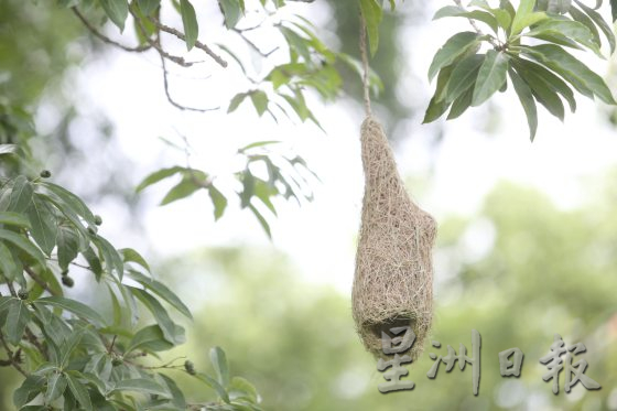 【守护义山/01】碑石如页,义山如书,福建义山申遗,续写未完史书