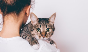 兄姐不理父母只会争产 女子心寒立遗嘱 “我遗产宁愿给猫!”