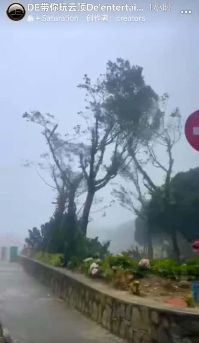 全:(已签发):云顶高原浓雾弥漫刮强风,上山民众受促注意安全