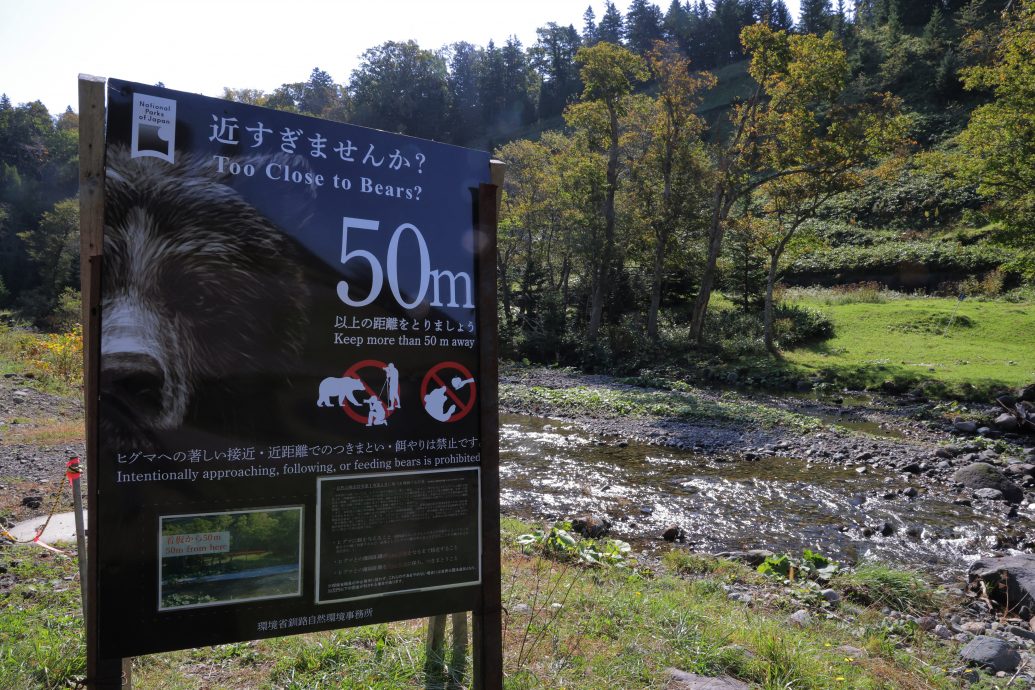 日本多地近日通报多起熊袭击案 西班牙游客合掌村遇袭