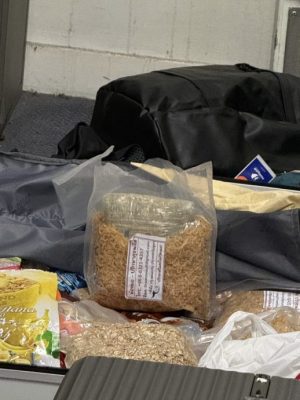 3日本男子藏毒入境被捕 12公斤可卡因市值240万被起获