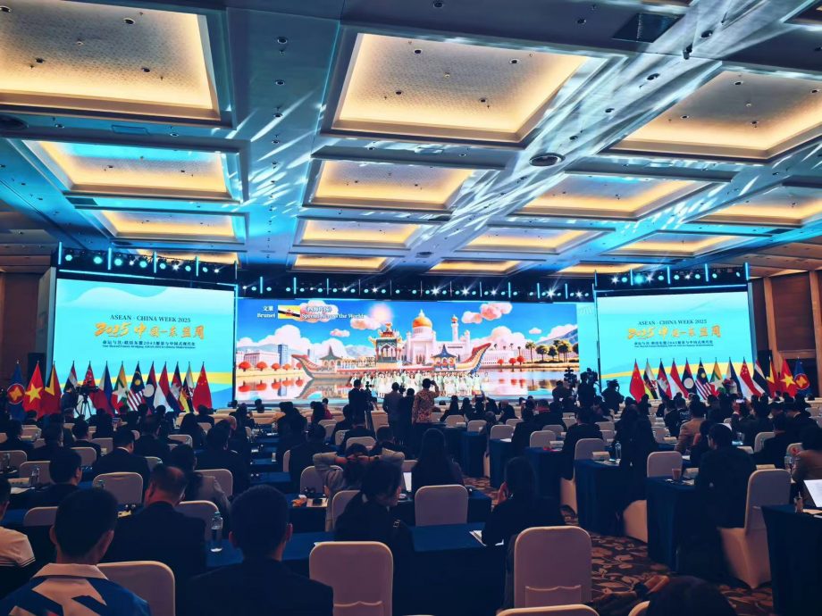 “2025中国—东盟周”福州启幕 共绘区域合作新图景