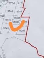 全国:(未签发)又一新集团染指非法榴梿芭,血汗付诸东流芭主无奈