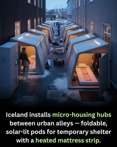冰岛设流浪者科技感微型住房? 查核网:假消息