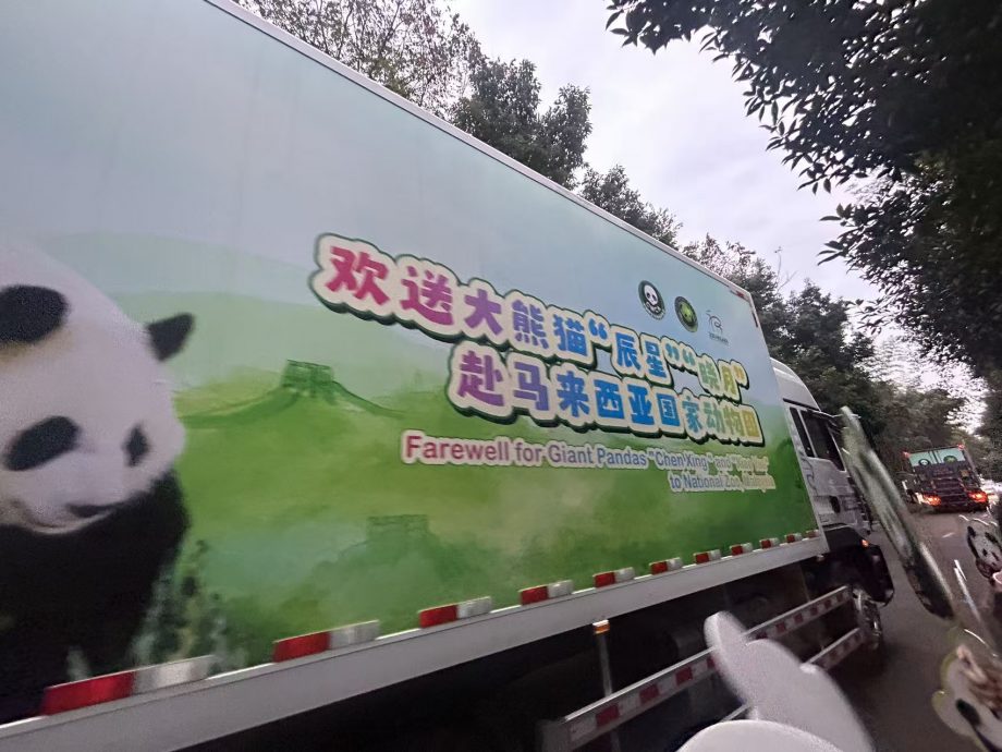 封面图与文 晓月辰星来了