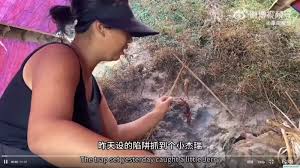 挑战荒岛求生 35天吃老鼠蜈蚣 25岁女选手勇夺季军还瘦14kg