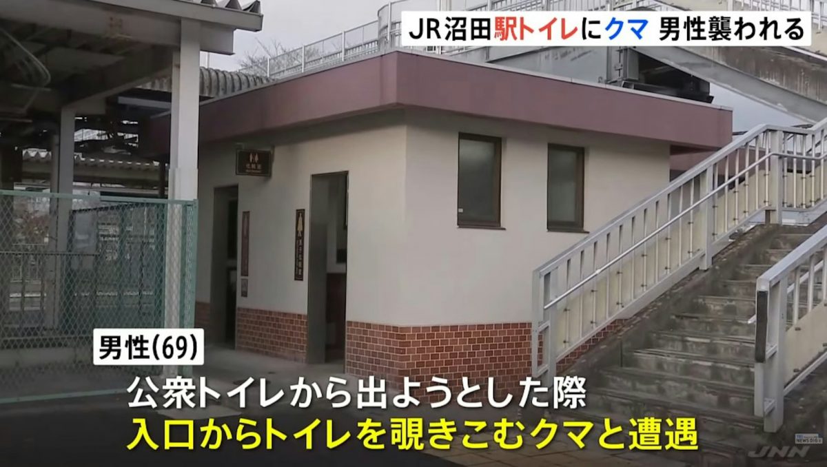 日本群马县JR车站熊出没 警卫如厕遇袭受伤