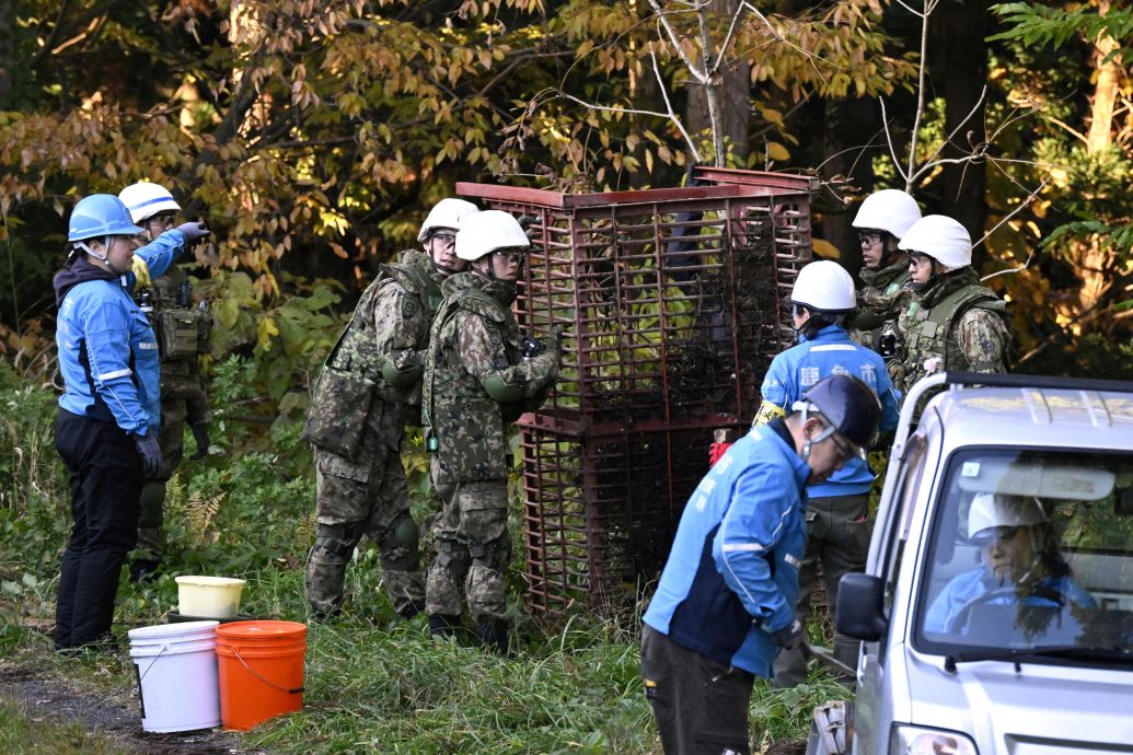 正面对决熊害!日本13日起警察可用步枪射杀熊