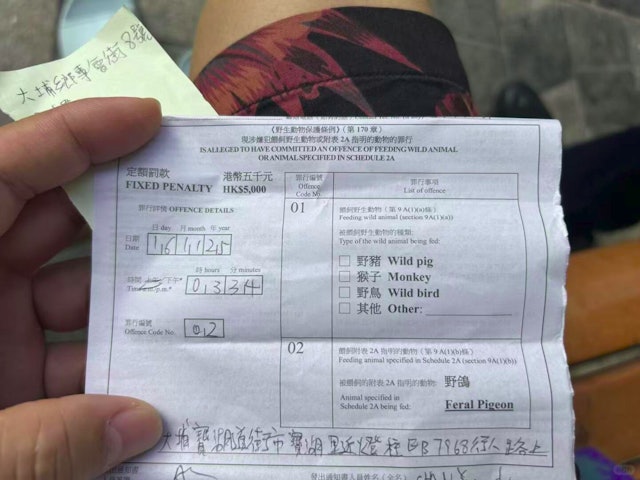 游港注意!中国女生做1事被罚款 哀叹:在家乡可以随意做啊