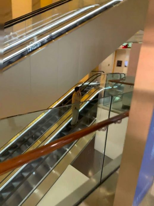 谢霆锋Lucas同框现身中环置地 一举动藏对儿子关爱