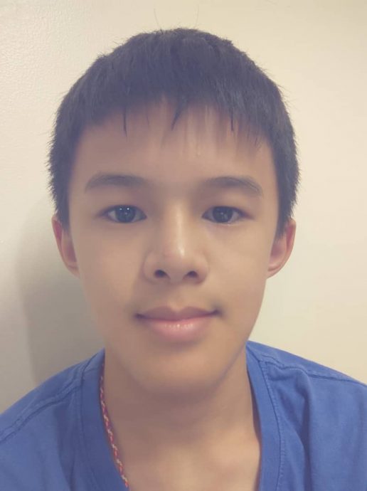 NS年轻人/瓜拉庇朥中华中学爱国月游行