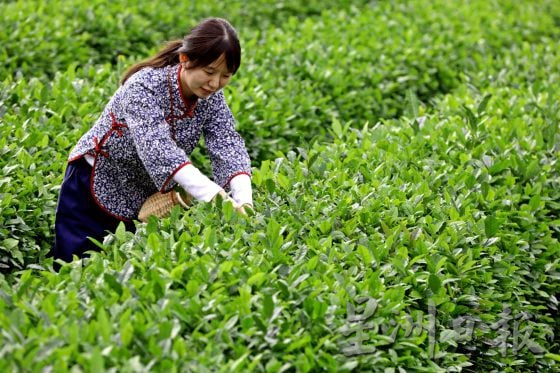 【中国】活力山东,遇见生活最本真的模样