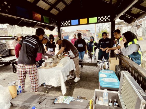 "“ProjekTogetherBoleh”,告别捕杀,以人道方式管理浪浪<br