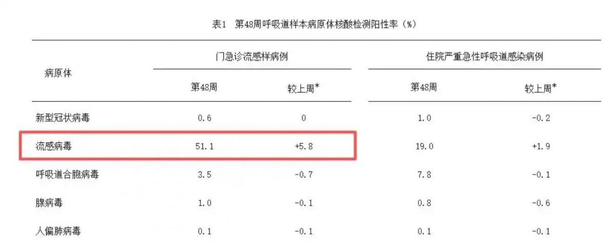 中国流感病毒“阳性率达51.1%” 看病挂到1200多号