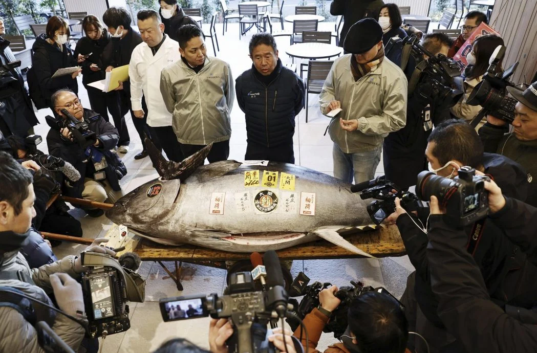 供Newswire:重276公斤日本金枪鱼卖580万令吉,史上第二高