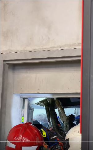 天花板暗藏两条巨蟒! 女子进仓库取货险遭“蛇从天降”