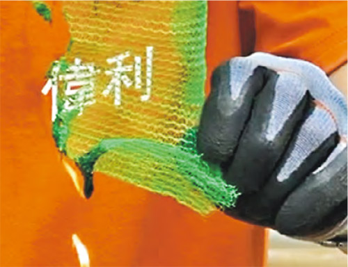 安基苑紧急拆除棚网 曾“试火”有棚网样本烧逾分钟