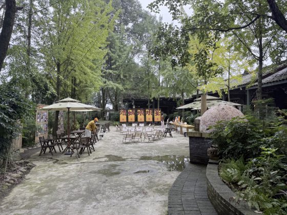 草稿筑迹/铁牛村:乡村振兴的田园生活场域