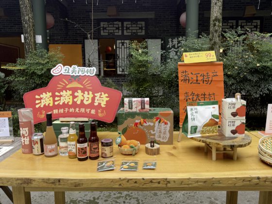 草稿筑迹/铁牛村:乡村振兴的田园生活场域