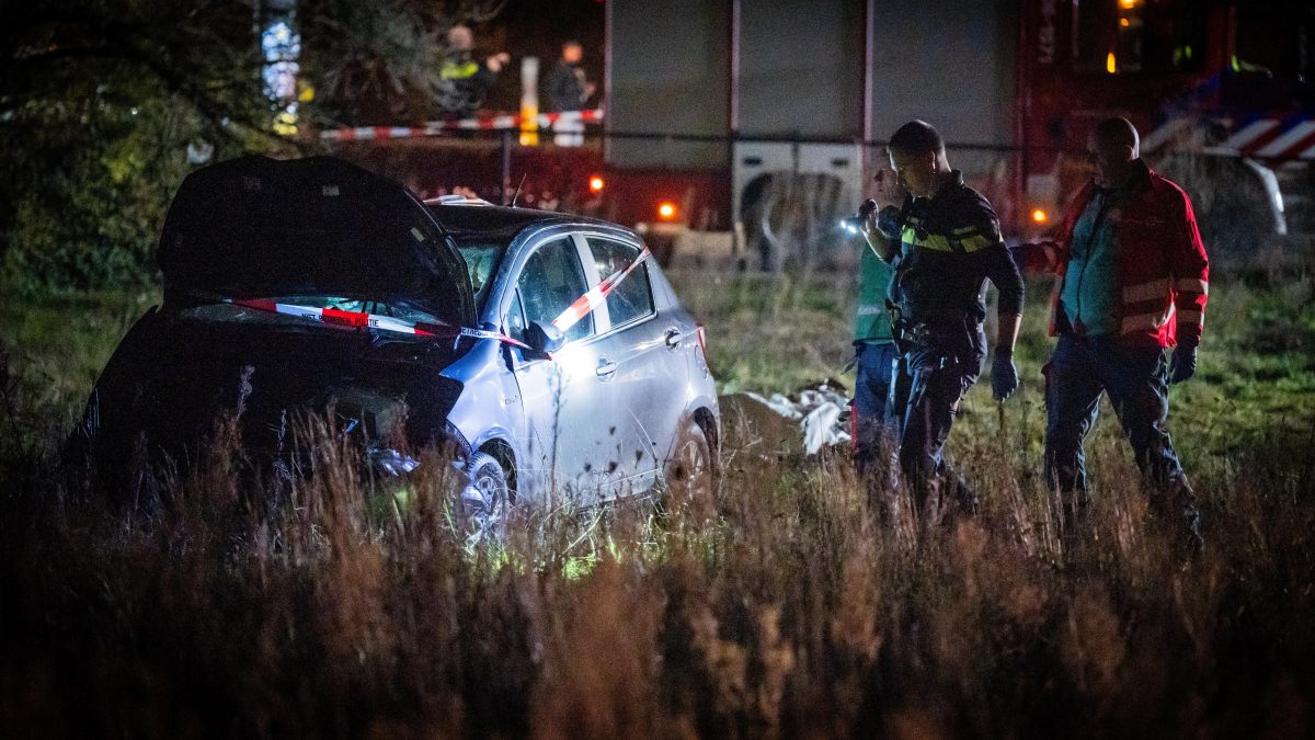 荷兰游行遭汽车冲撞至少9伤 警未发现蓄意行为