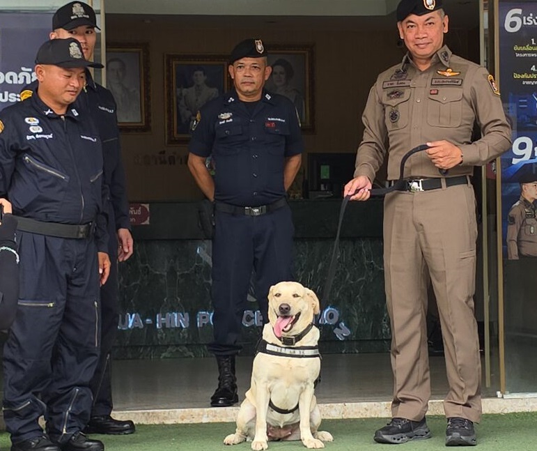14棍打死酒店女员工 警犬桥底草丛擒凶