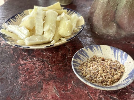 【越南】胡志明市:黑色旅游重现战争面貌