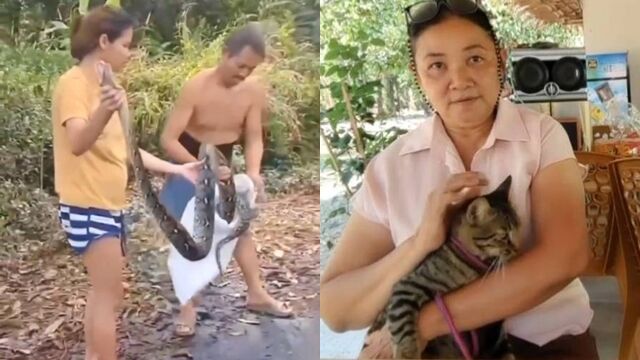 巨蟒紧缠爱猫!她不顾孕肚“徒手一圈圈掰开” 奇迹抢救活过来