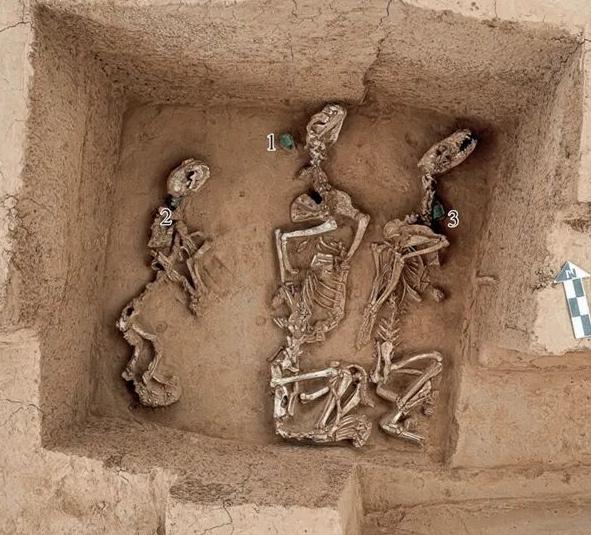 最早“野生动物园”!中国发现3000年前商代已养珍禽异兽