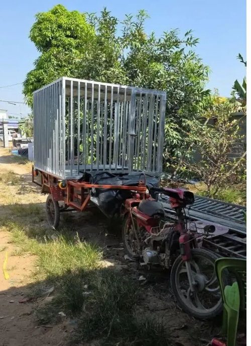 柬埔寨街头惊现“狗笼运活人”引运猪仔疑云 真相令人哭笑不得