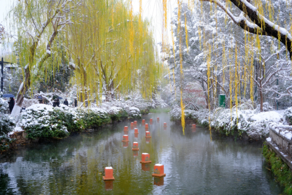 雪后济南云雾润蒸宛若仙境 游客赞叹:走进老舍笔下的水墨济南