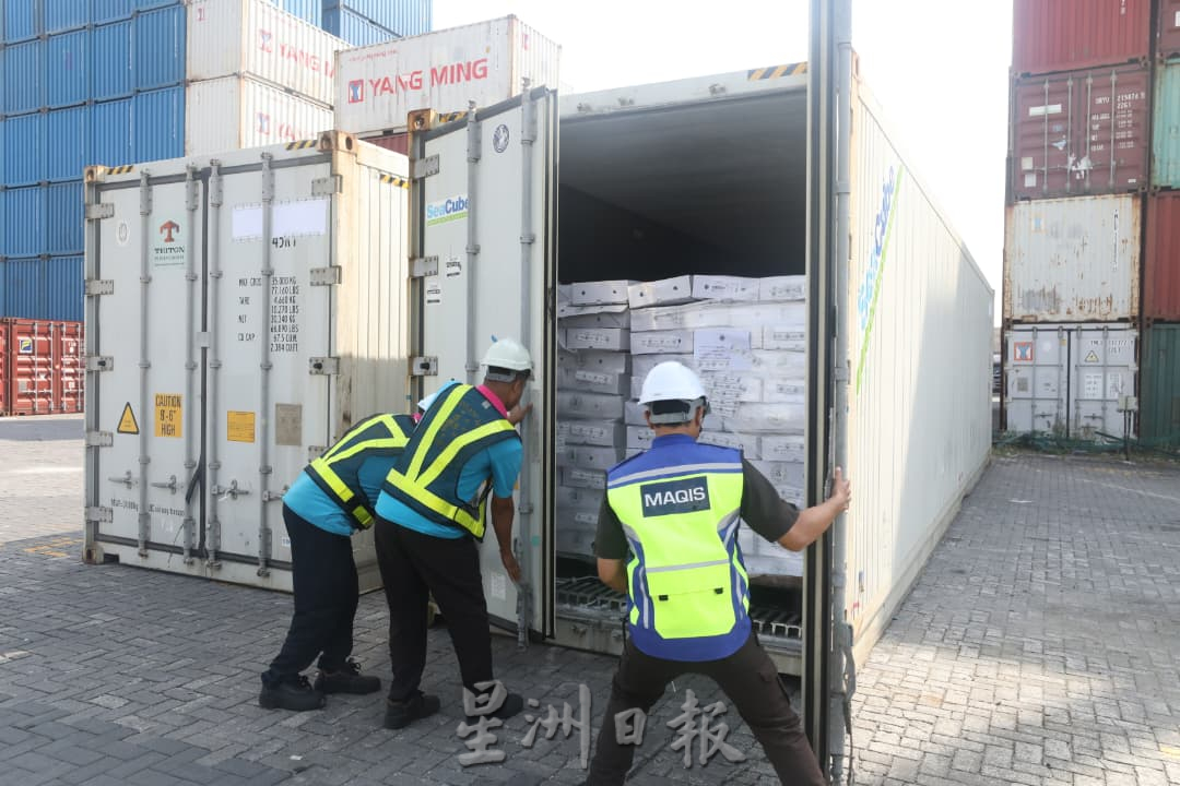 1周内两度执法 边管机构成功阻止逾100万令吉非法猪肉流入市场