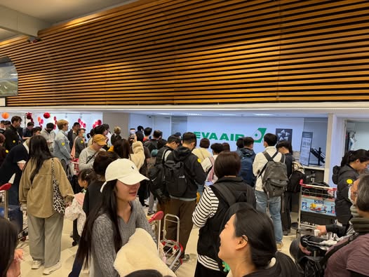 旅印作家也受害!泰航飞曼谷班机突取消 300旅客“原地放生”气炸