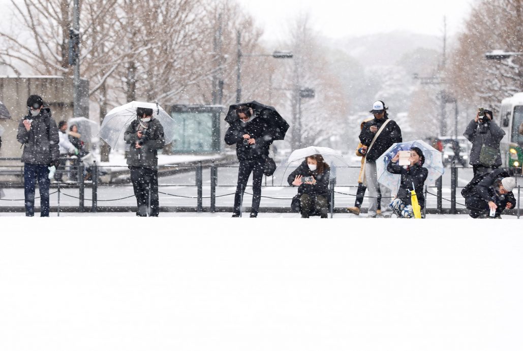 日本入冬最强寒流!“瞬间暴雪”恐瘫痪民生 231航班取消