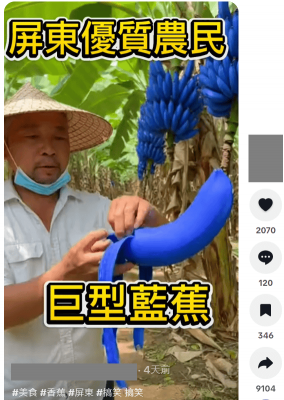 求真:巨型深蓝色香蕉/2图